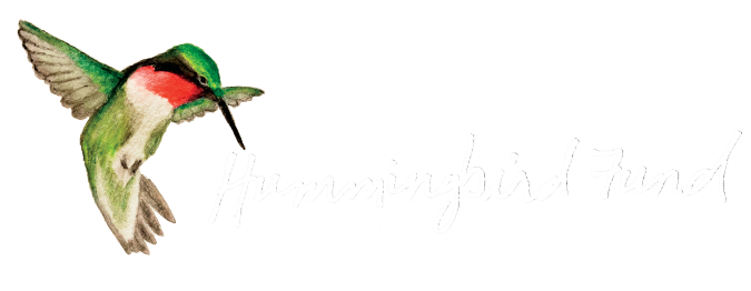 Hummingbird_logos_color_White