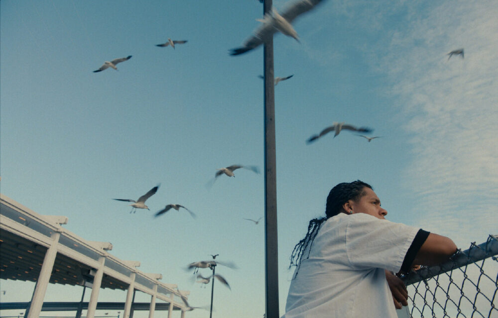 Person looking at seagulls flying near a pier