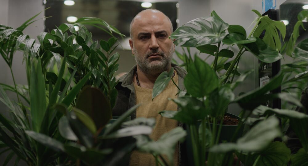 Man with beard looking at camera surrounded by houseplants