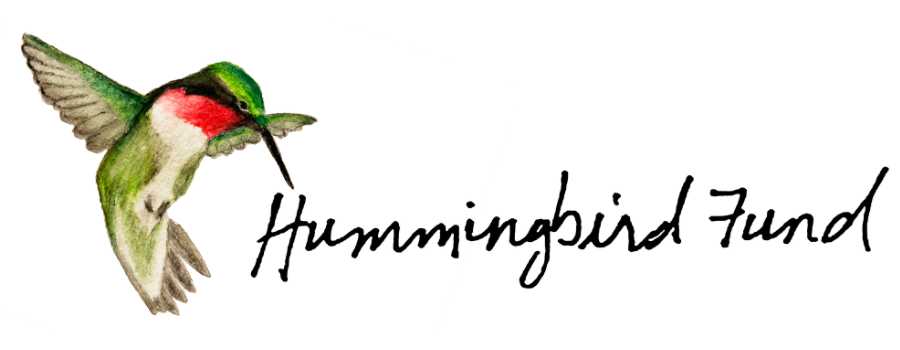 Logo for Hummingbird Fund