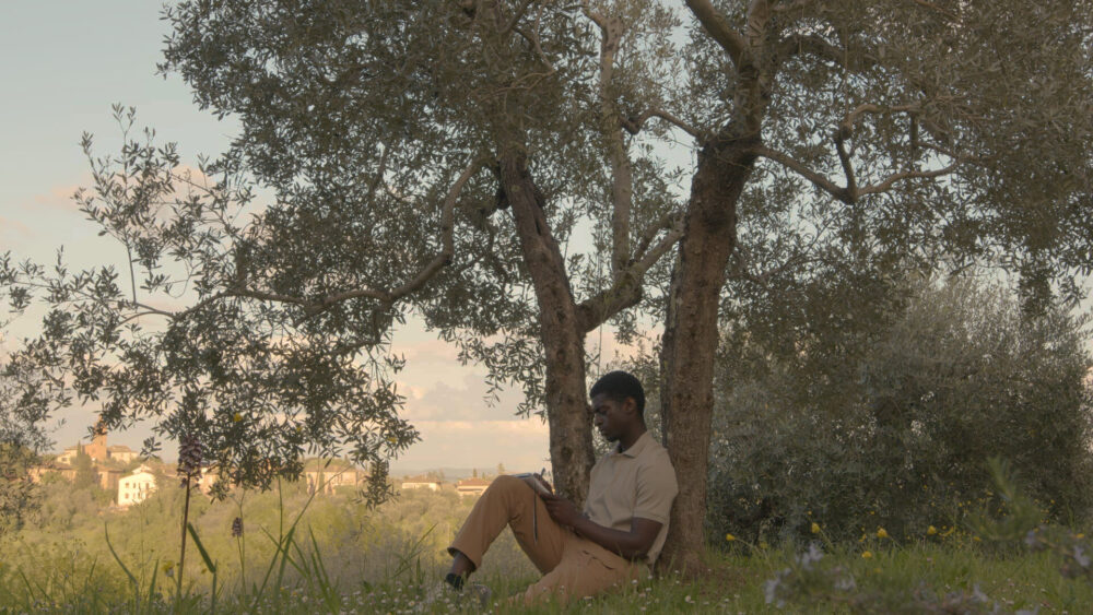 Man reading under olive tree in Tuscan landscape